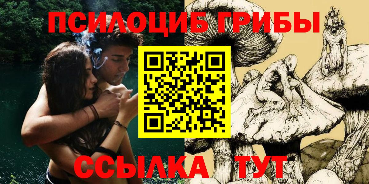 Камень-на-Оби  Псилоцибиновые грибы Psilocybine cubensis  Вход с VPN  Псилоцибиновые грибы Psilocybine cubensis 